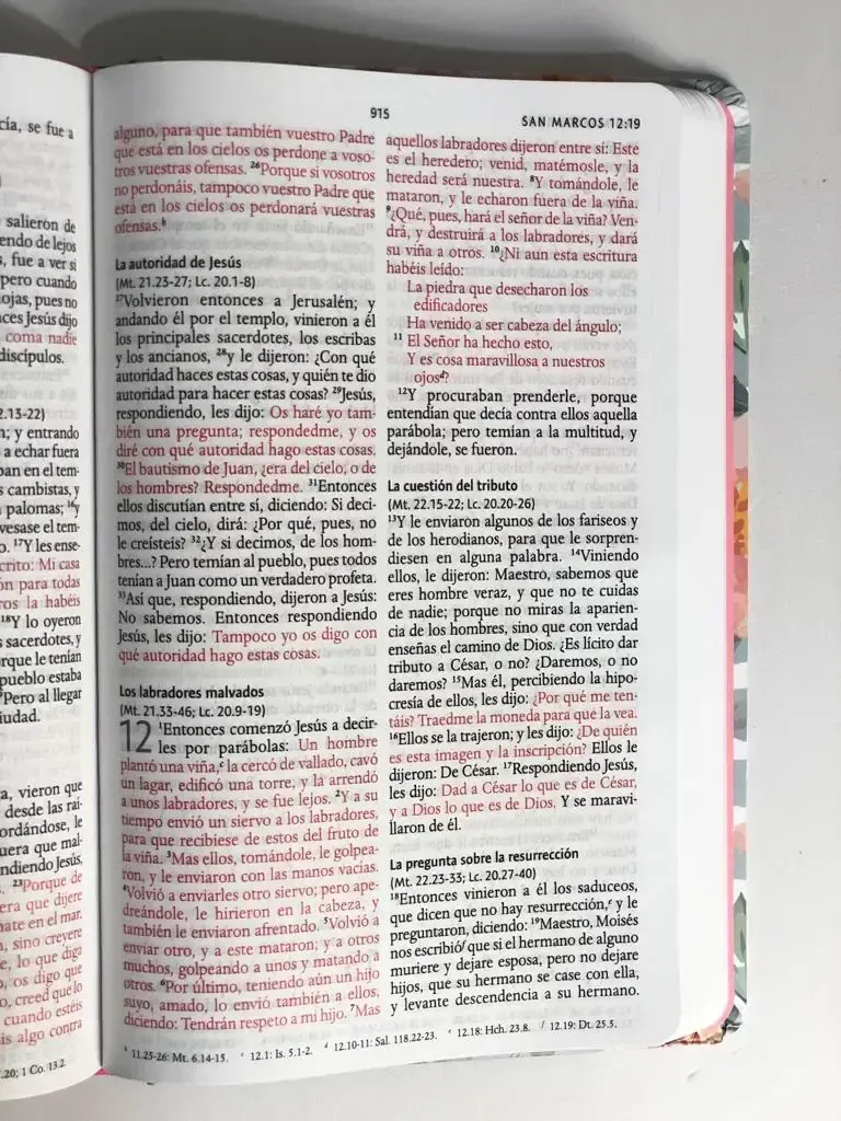 Biblia Rvr Letra Grande Manual Tapa Dura Cantar De Cantares