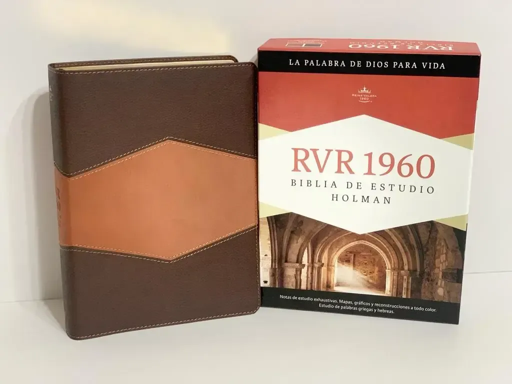 Reina Valera Biblia De Estudio Holman Chocolate Terracota S Mil