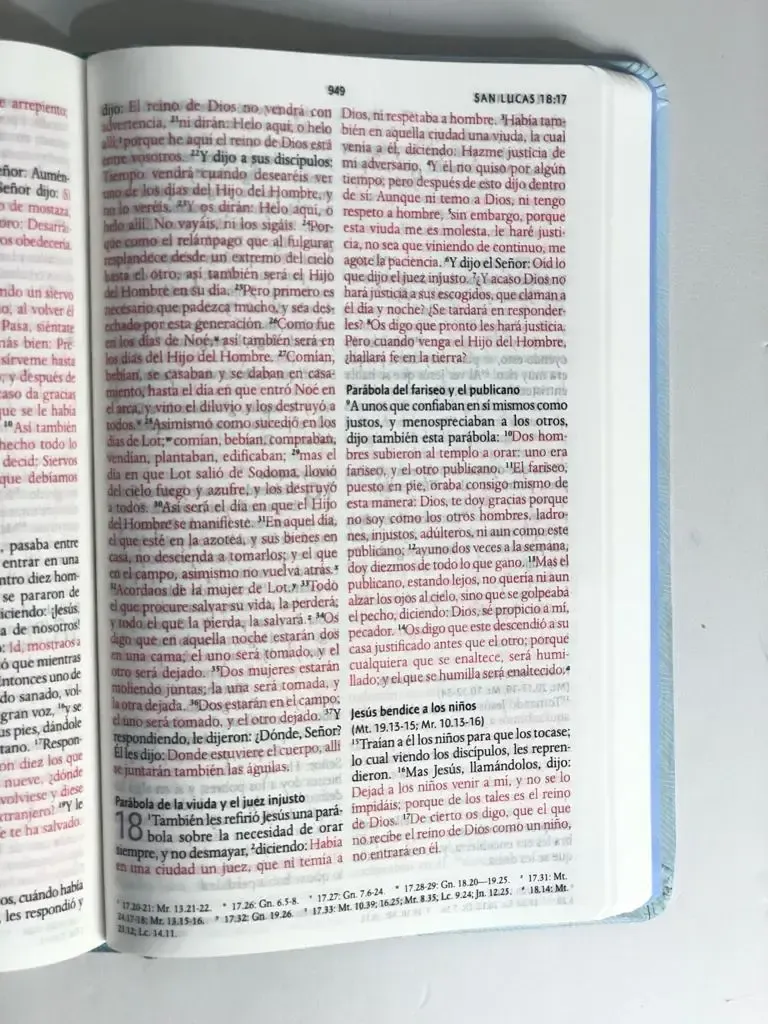 Biblia Rvr Letra Grande Manual Tapa Dura Con Nombres De Dios