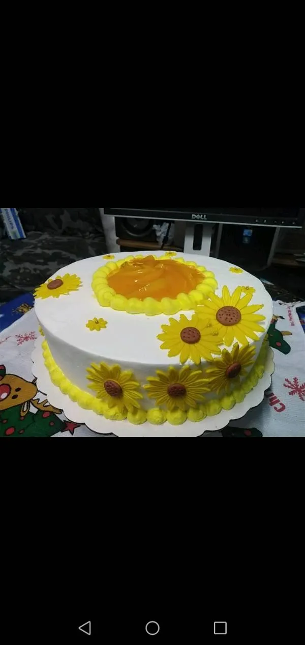 Valiente pastel personalisado para niña en Lourdes