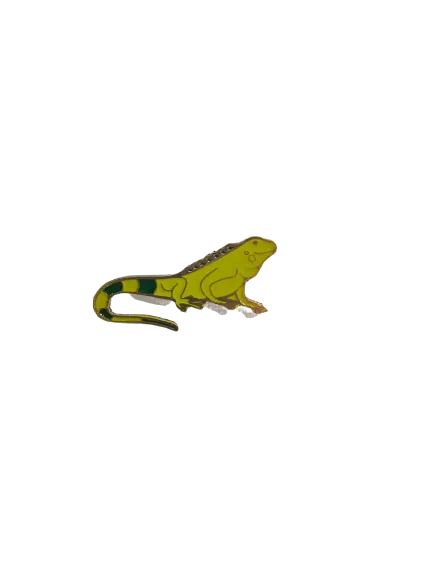 Pin Iguana