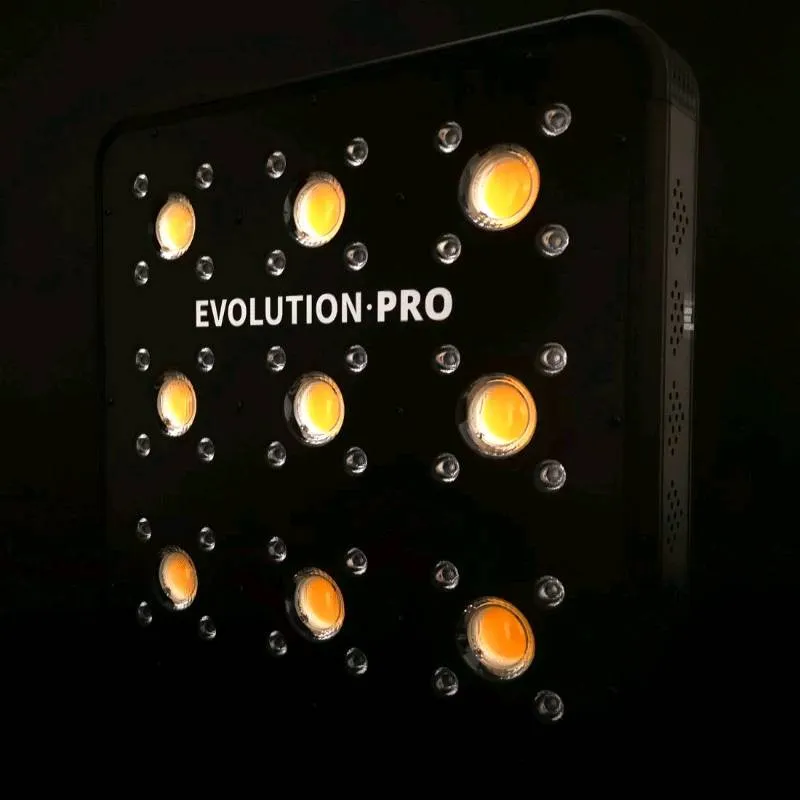 APOLLO EVOLUTION PRO 9 300W-DELIGHT