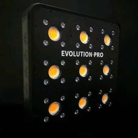 APOLLO EVOLUTION PRO 9 300W-DELIGHT