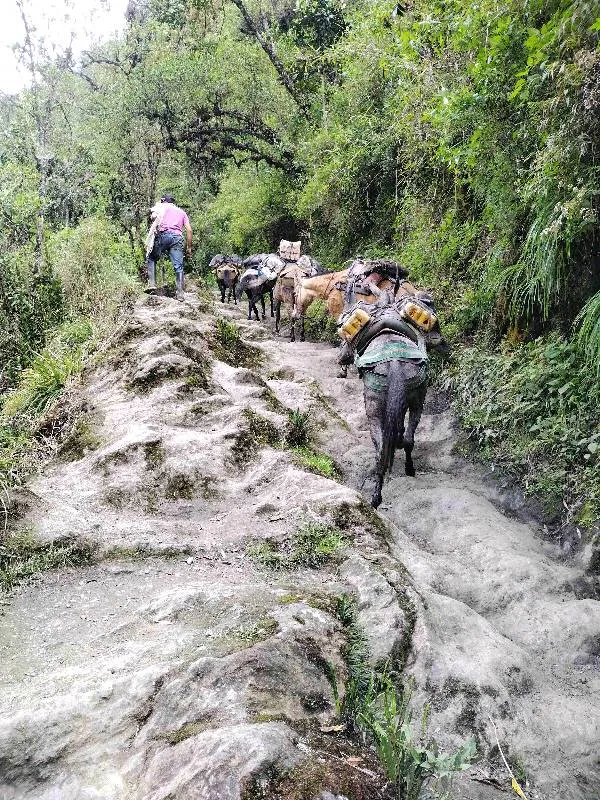 Senderismo y cascadas en Colombia