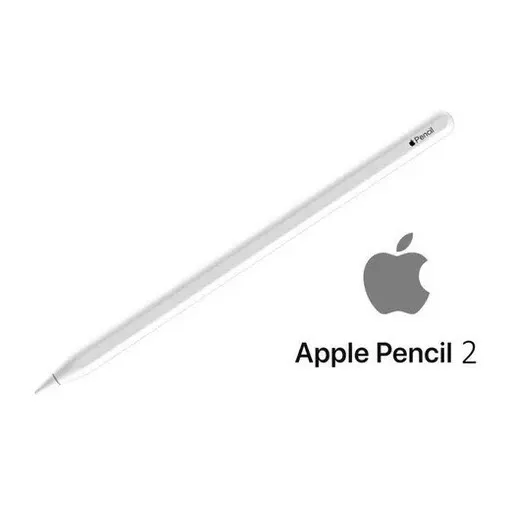 Appel Pencil ( 2 generacion) original 