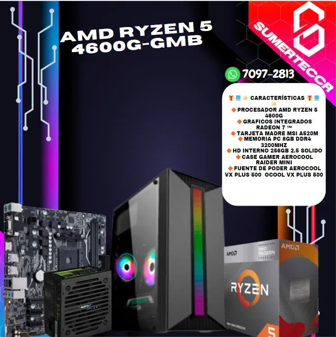 AMD RYZEN 5 4600G-GMB