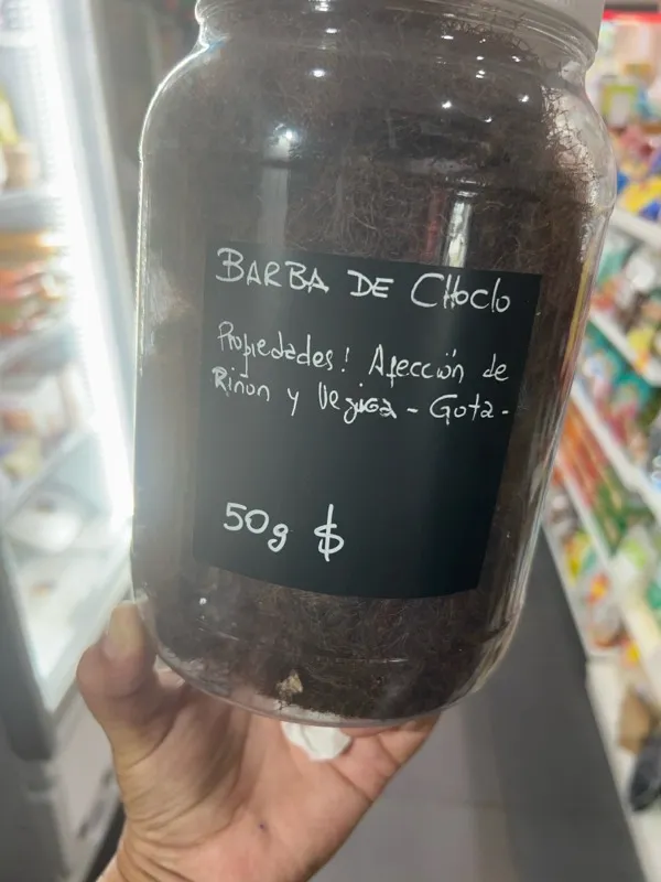 BARBA DE CHOCLO OASIS X 50 gr.