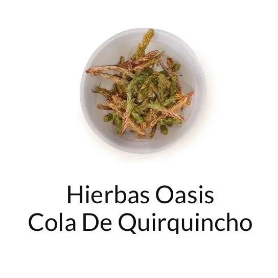 Cola de Quirquincho hierbas x 100 grs. 