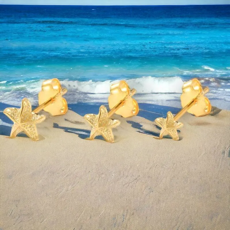 Set Estrellas de Mar