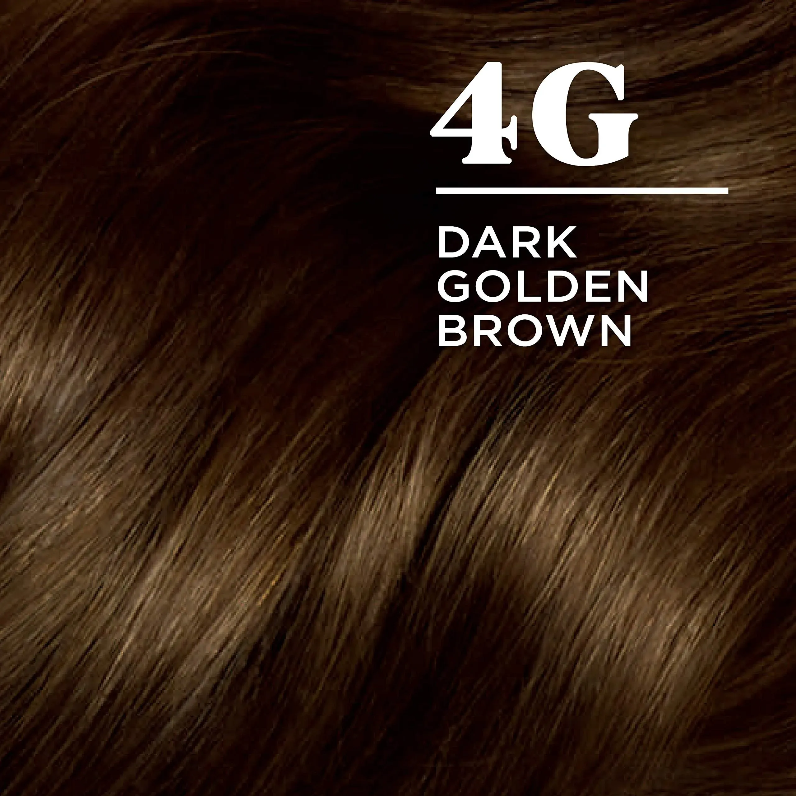 Clairol Nice'n Easy Permanent Hair Dye, 4G Dark Golden Brown Hair Color, Pack of 1