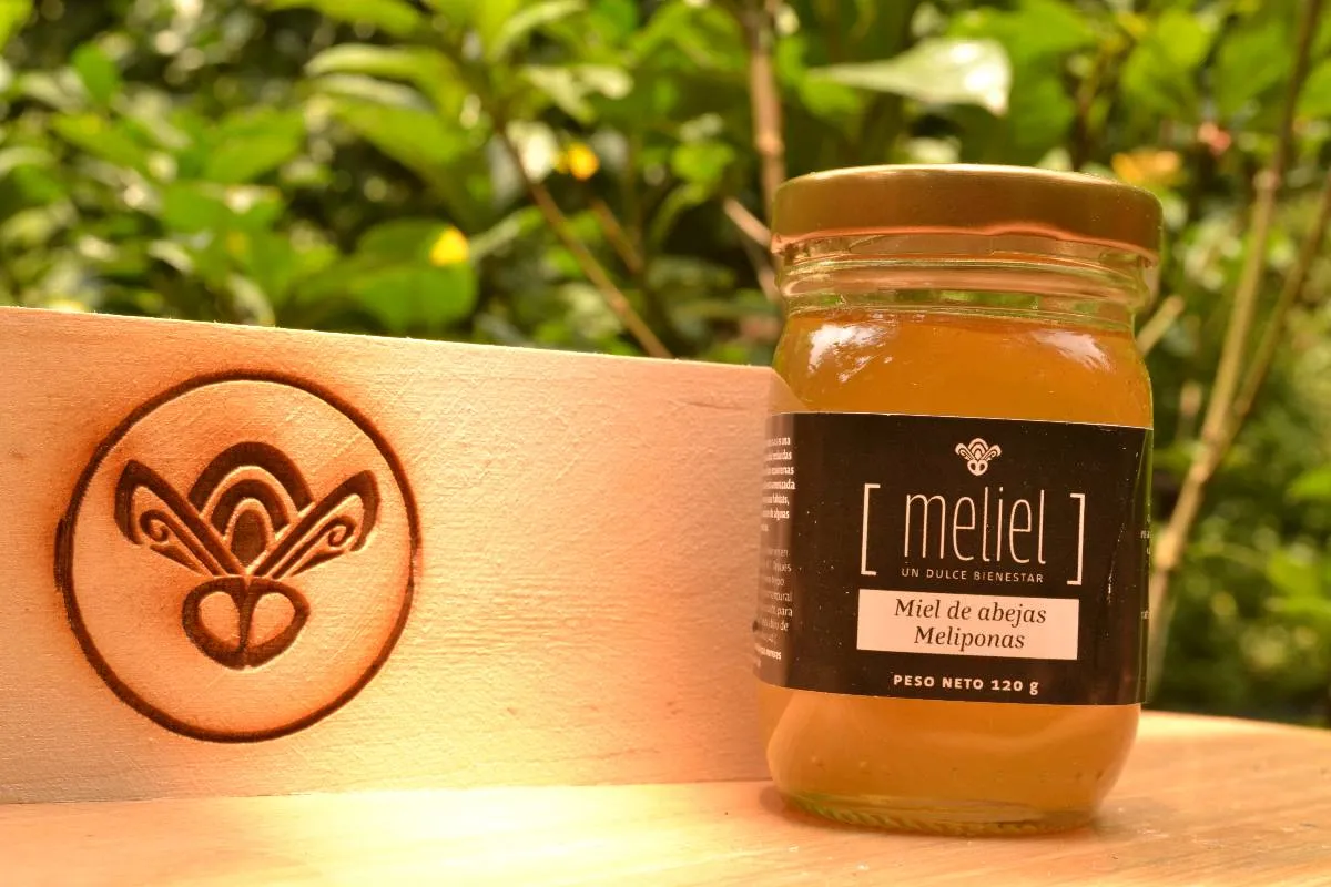 Miel de abeja Boca de sapo (Melipona sp.) [Cauca] (120 g)