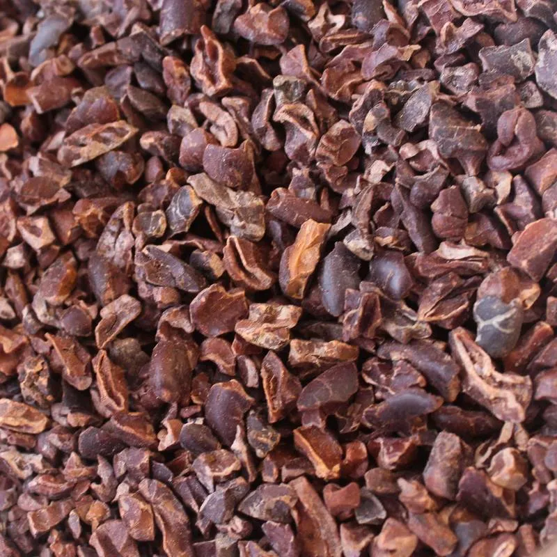 Nibs de cacao orgánico