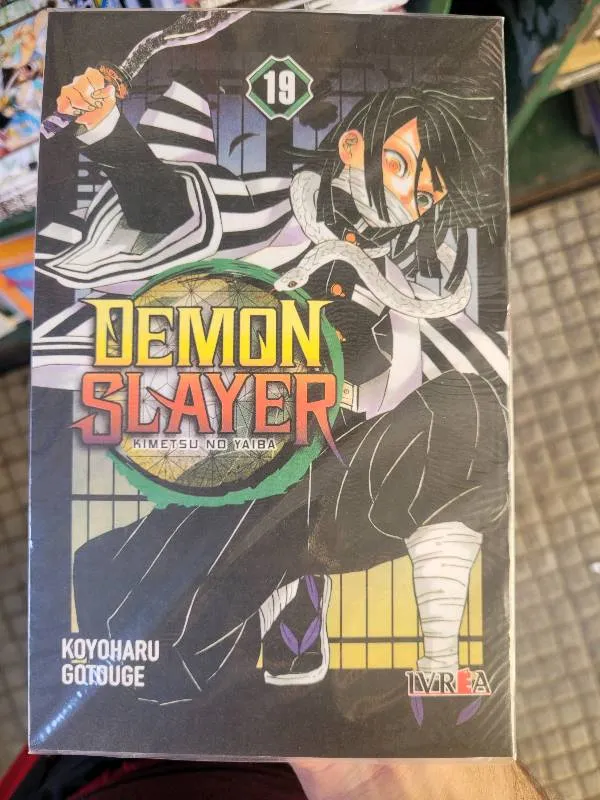 Demon slayer (19) - Kimetsu no yaiba