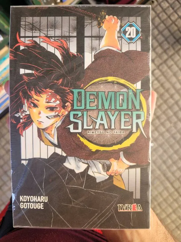 Demon slayer (20) - Kimetsu no yaiba
