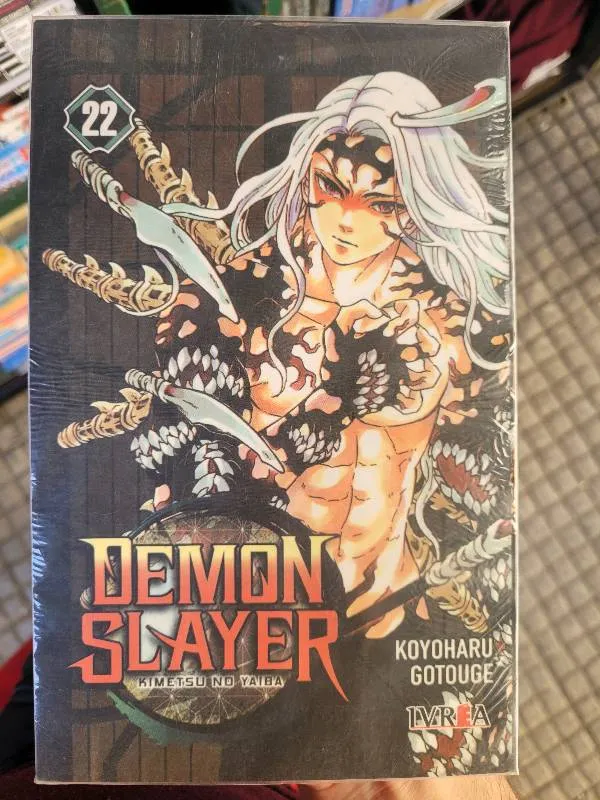 Demon slayer (22) - Kimetsu no yaiba