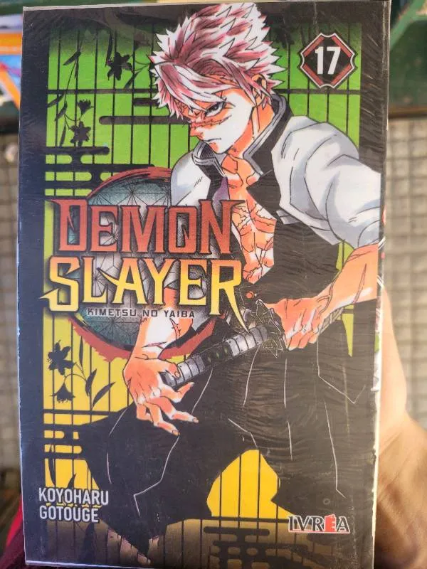 Demon slayer (17) - Kimetsu no yaiba