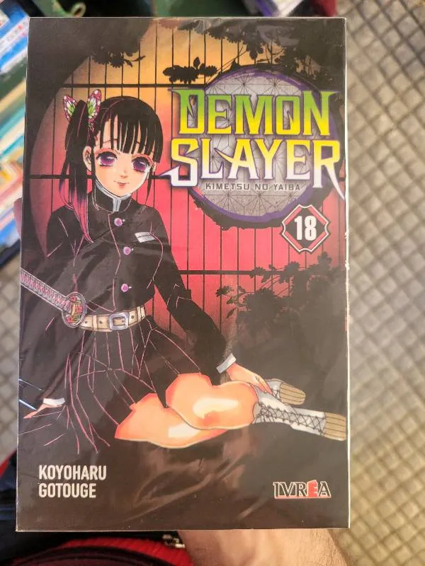 Demon slayer (18) - Kimetsu no yaiba