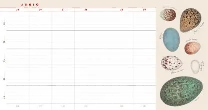 oscilloscope, web_site, binder