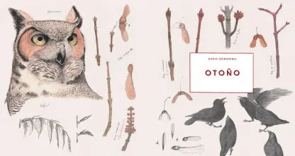 comic_book, book_jacket, prairie_chicken
