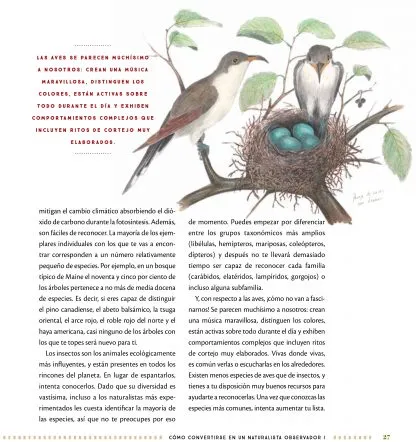 web_site, book_jacket, comic_book