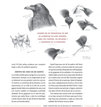 web_site, book_jacket, comic_book