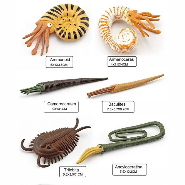 maraca, carpenter's_kit, power_drill