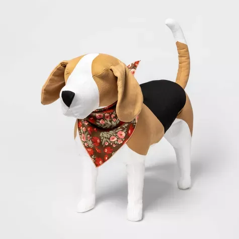 muzzle, Walker_hound, beagle