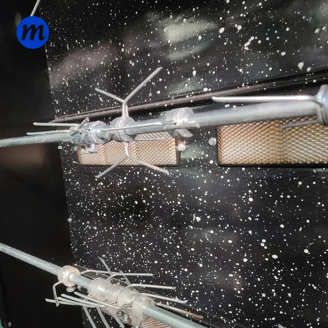 ASADOR 20 POLLOS A GAS 110V BOIA