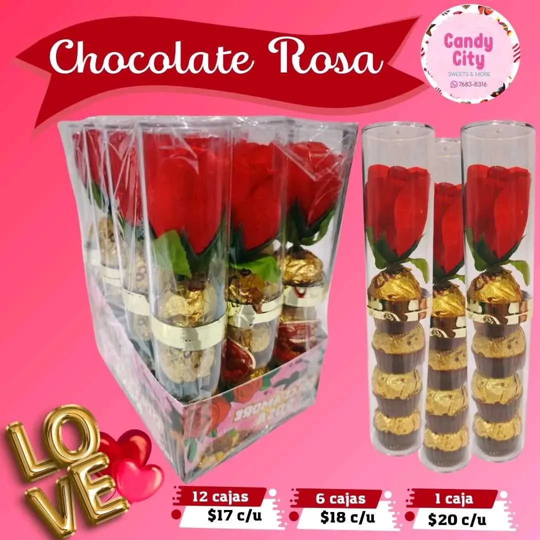 Chocolate Rosa (12 tubos de 4 chocolates + Rosa)