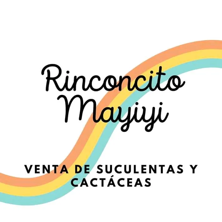 Rinconcito Mayiyi