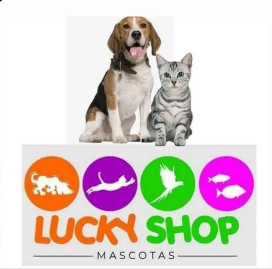 LuckyShop Mascotas