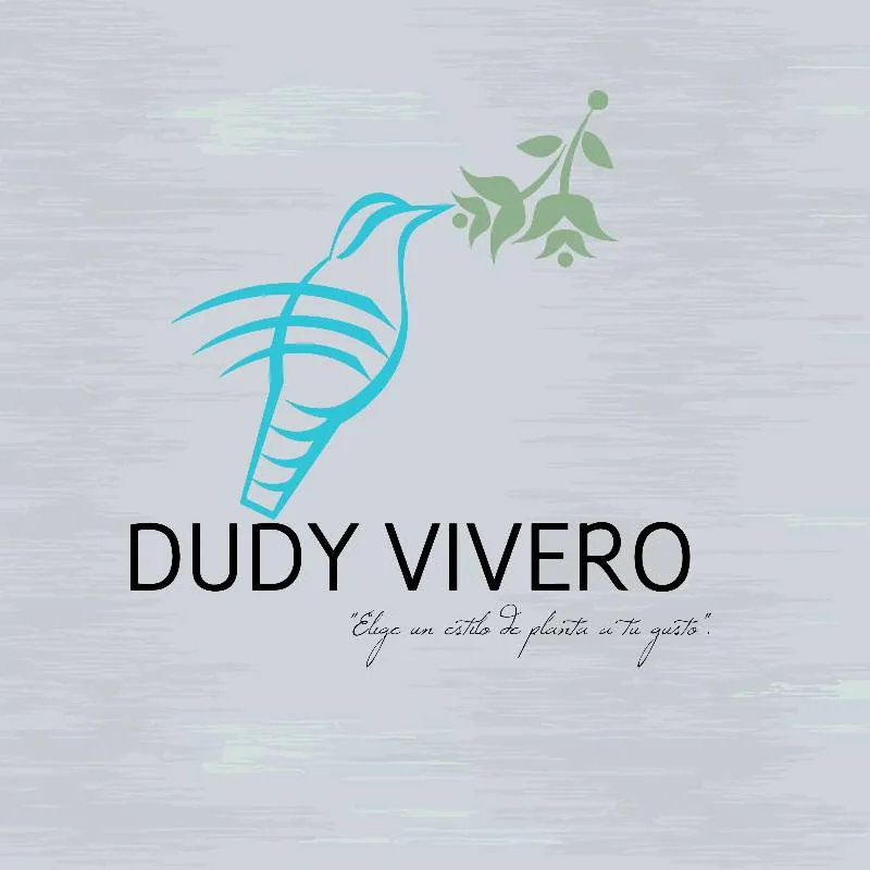 Dudy Vivero