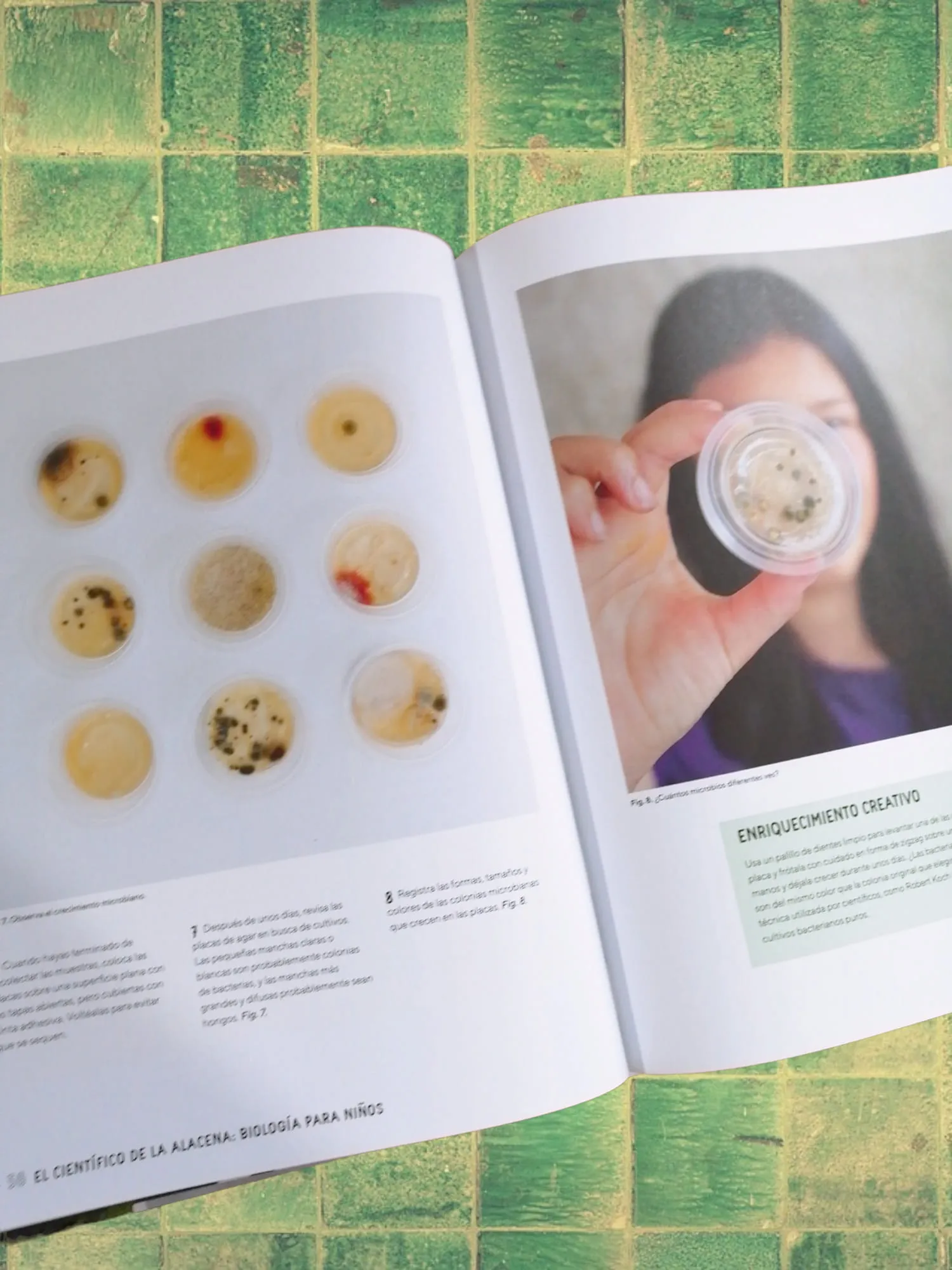 menu, tray, envelope