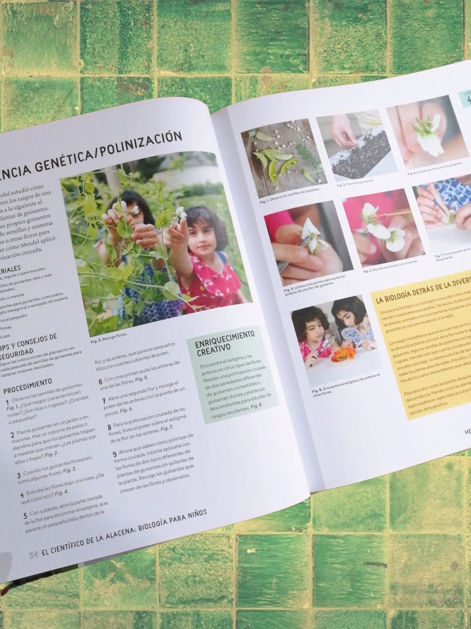 binder, comic_book, menu