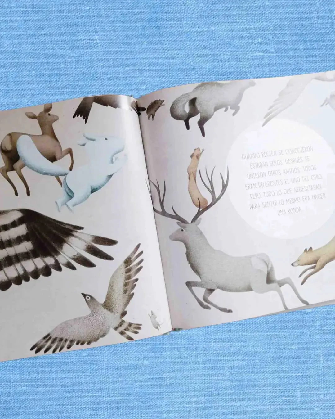 envelope, wallet, handkerchief