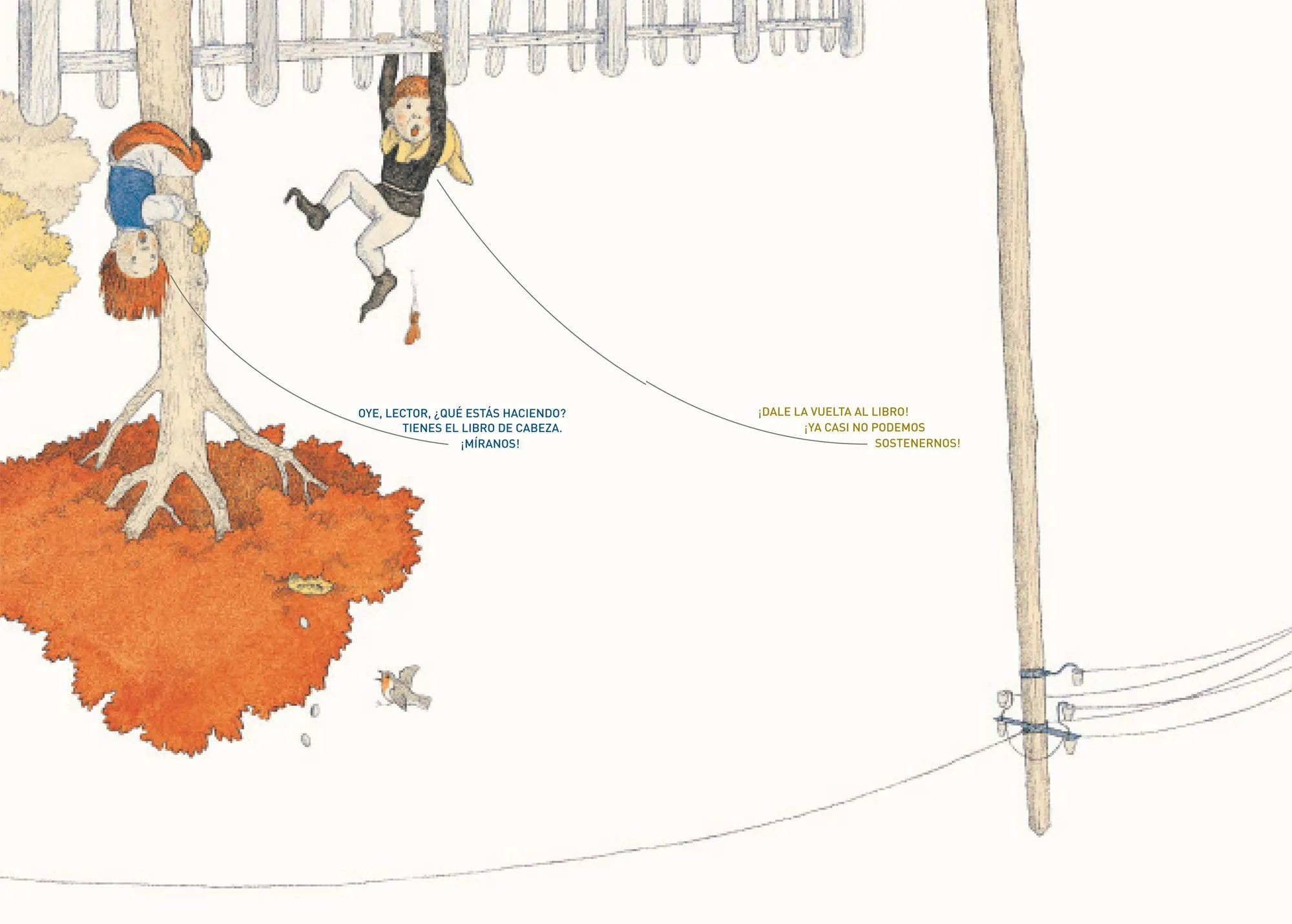 bow, envelope, book_jacket