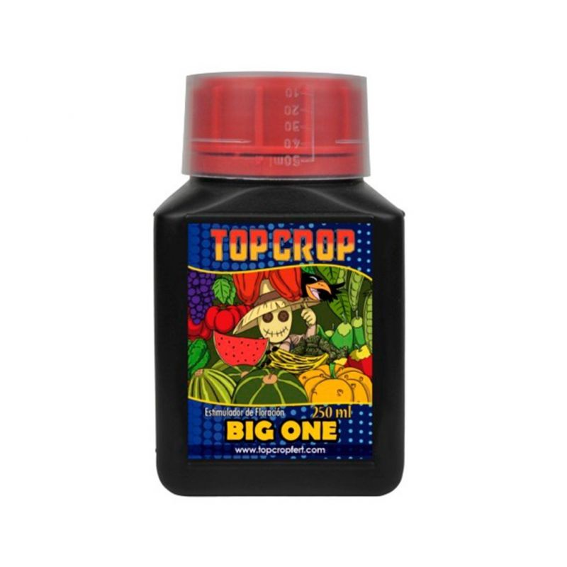 BIG ONE 250ML - TOP CROP