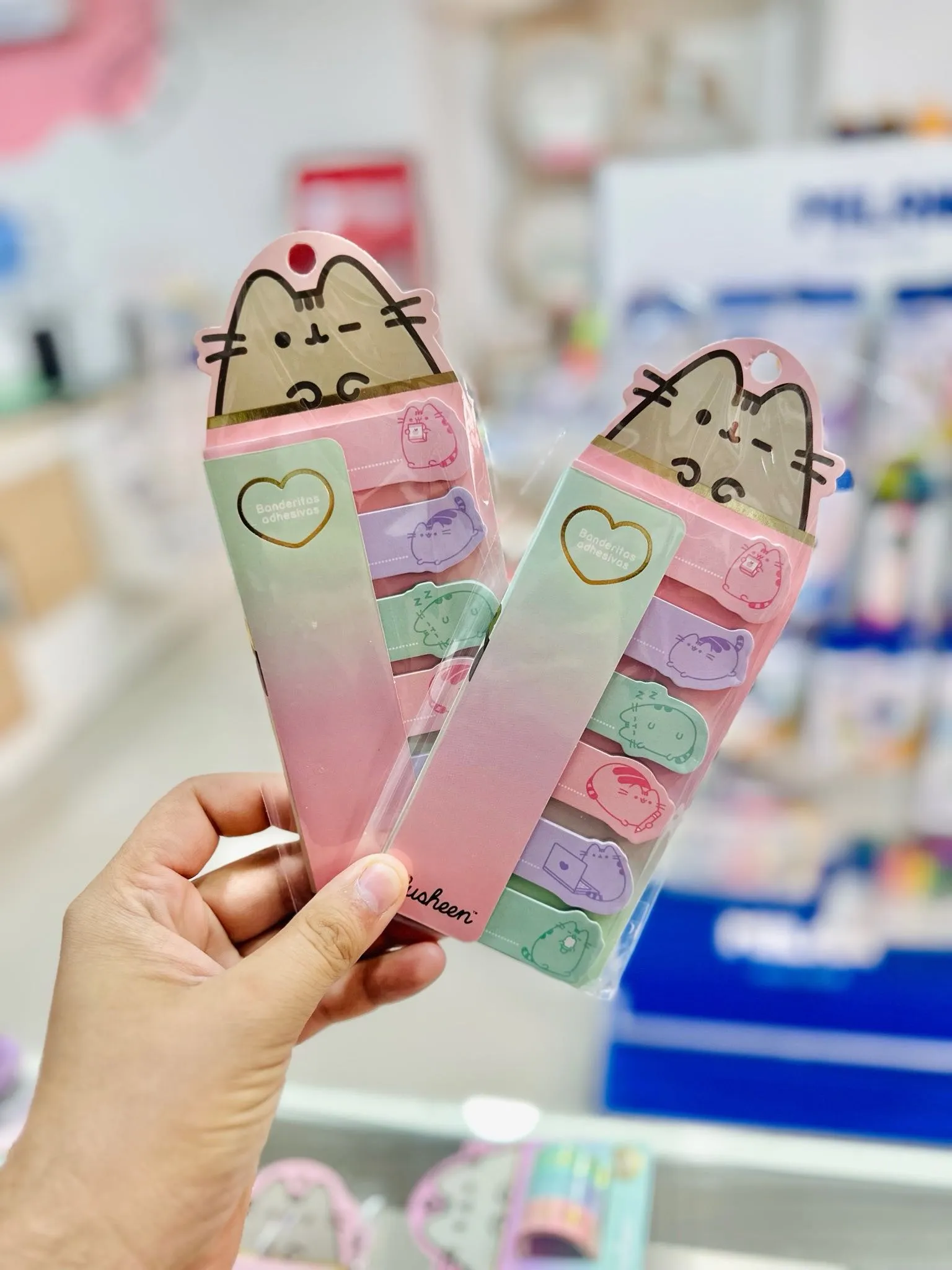 BANDERITAS SEÑALADORAS MOOVING PUSHEEN