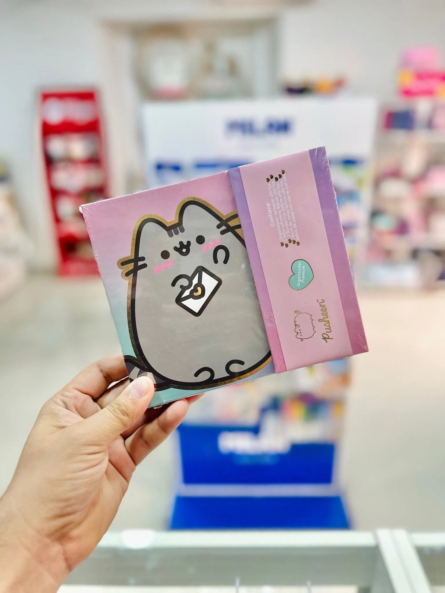 ORGANIZADOR SEMANAL MOOVING PUSHEEN