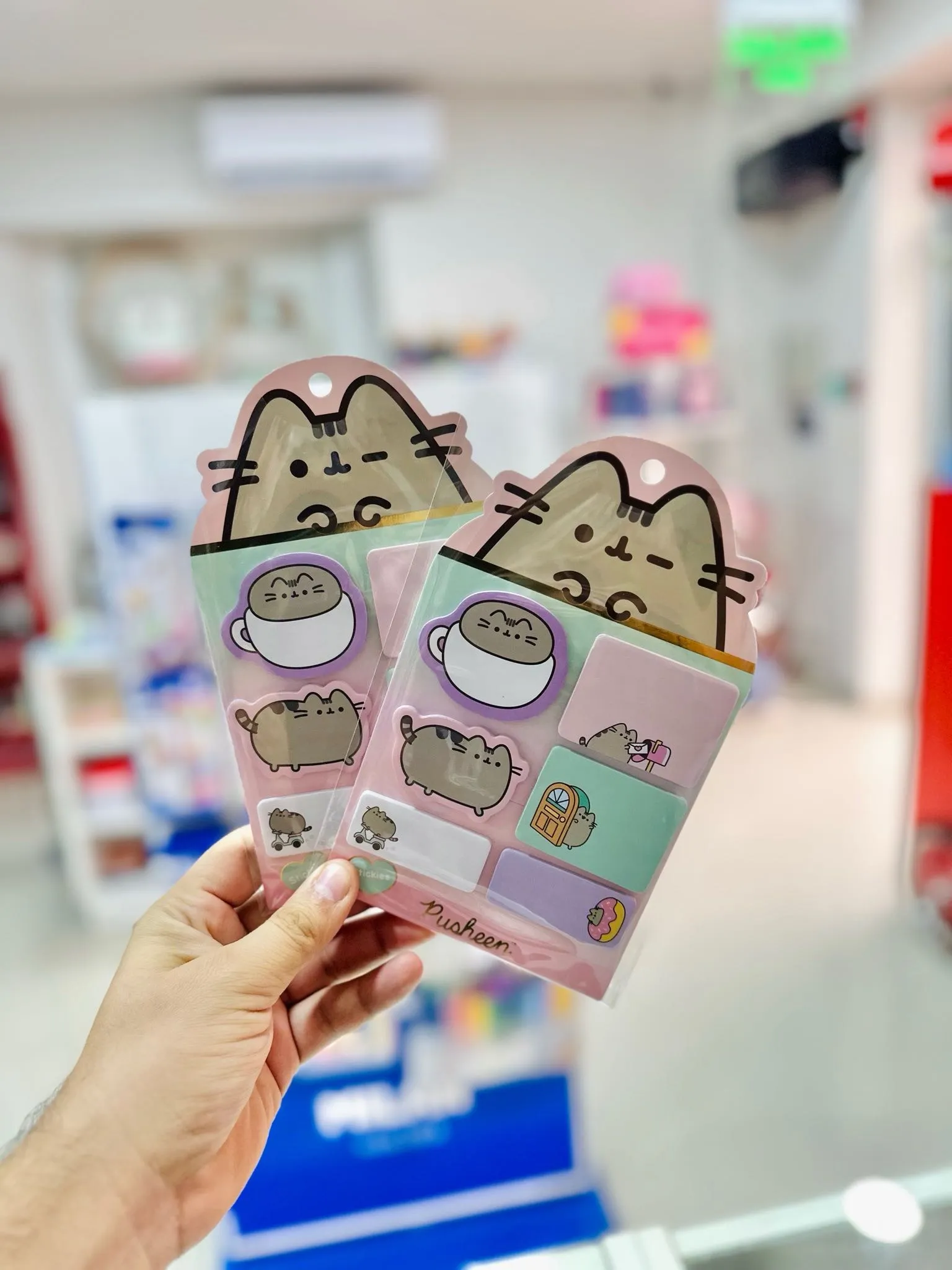 SER NOTAS ADHESIVAS MOOVING PUSHEEN