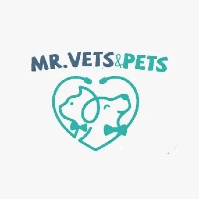 César Martínez, Mr Vets & Pets