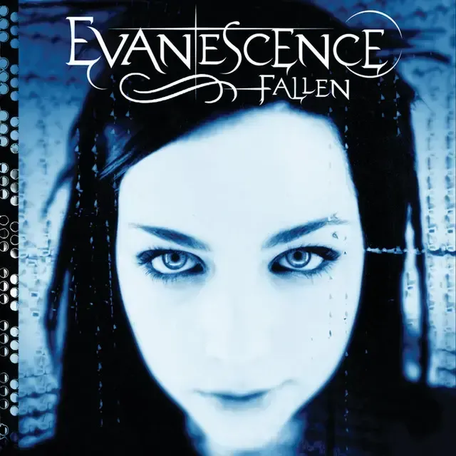 Fallen CD Evanescence