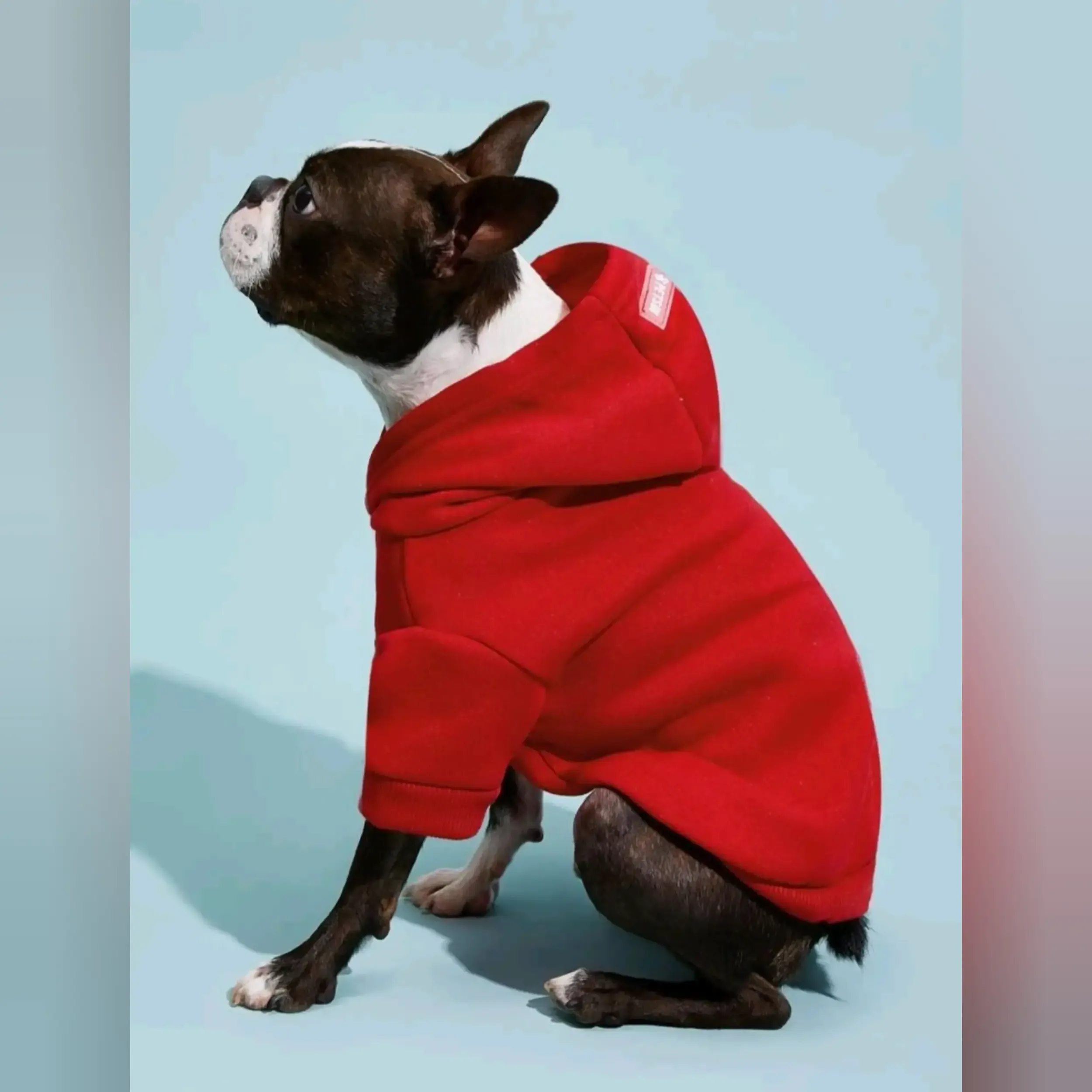 Sudadero para Mascota (Gato,Perro)