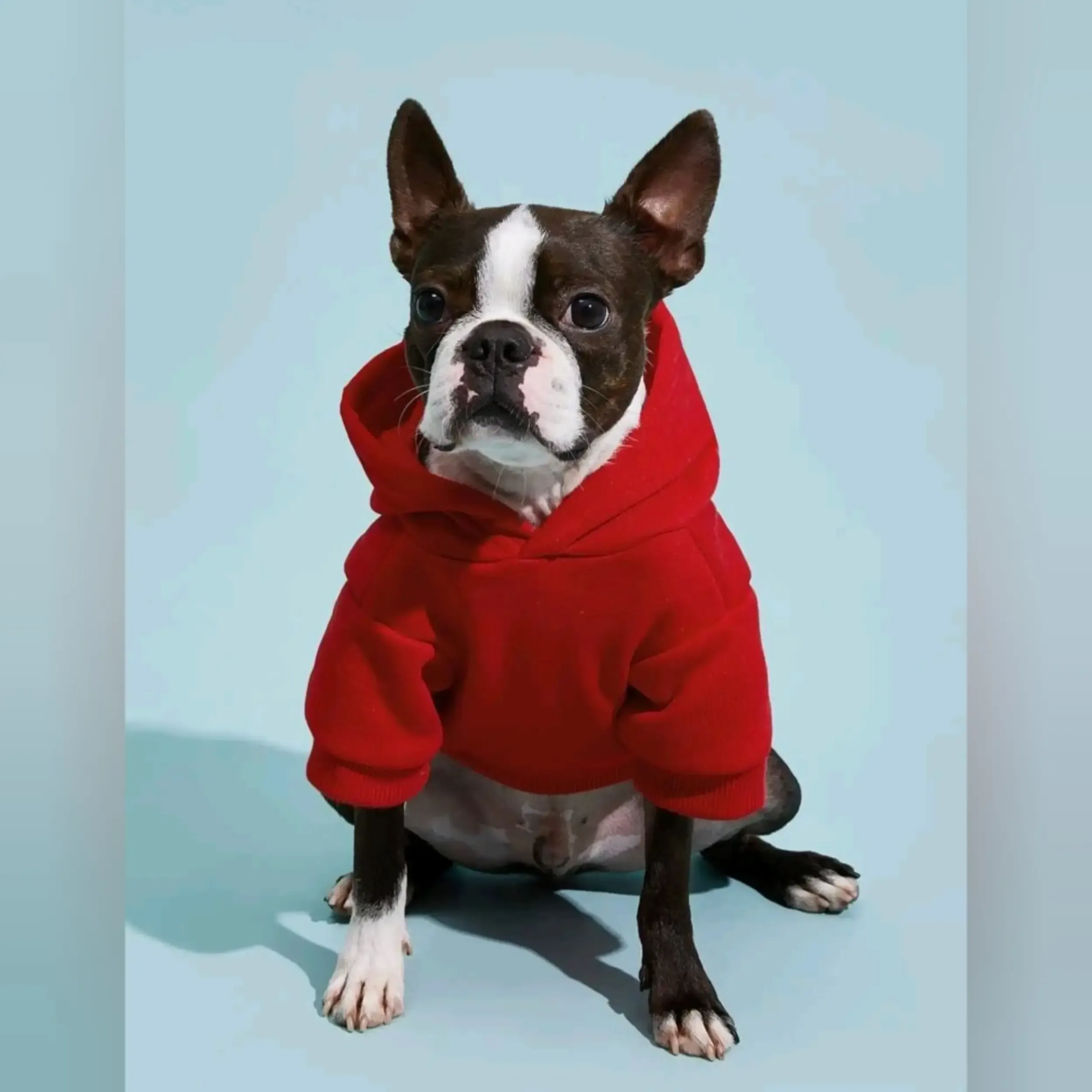 Sudadero para Mascota (Gato,Perro)