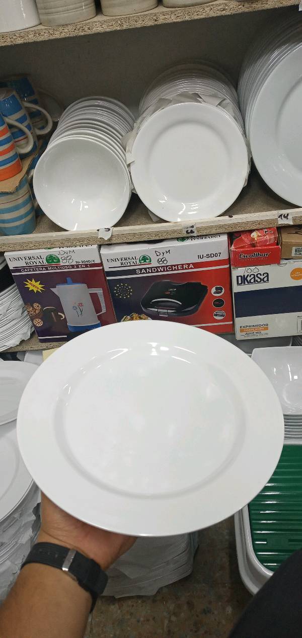 plate_rack, tray, washbasin