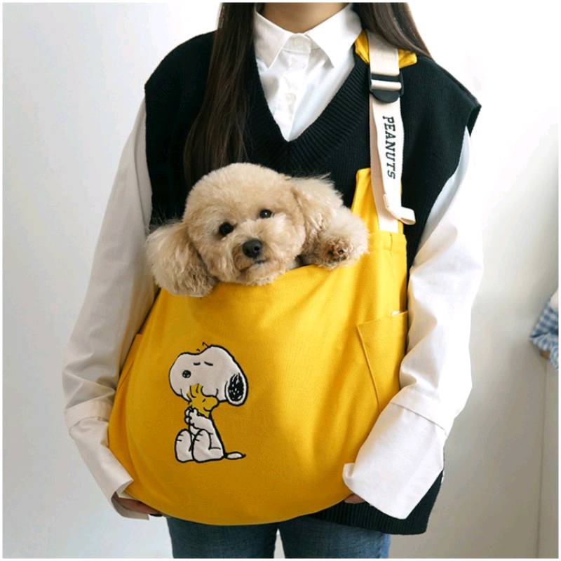 Bolso y camita para mascota