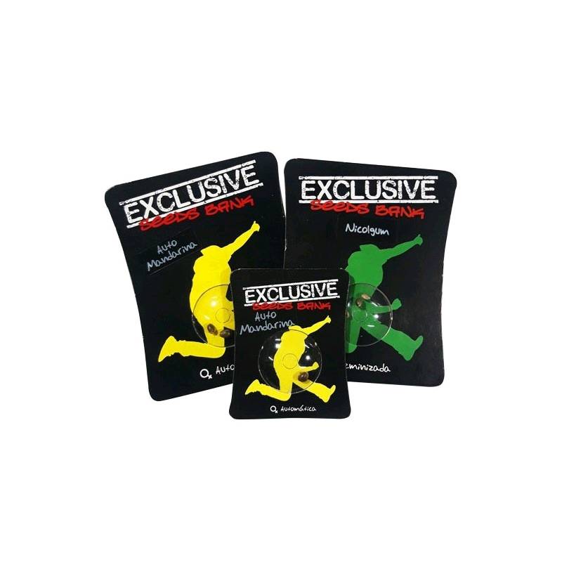 EXCLUSIVE SEEDS AUTO TASTY