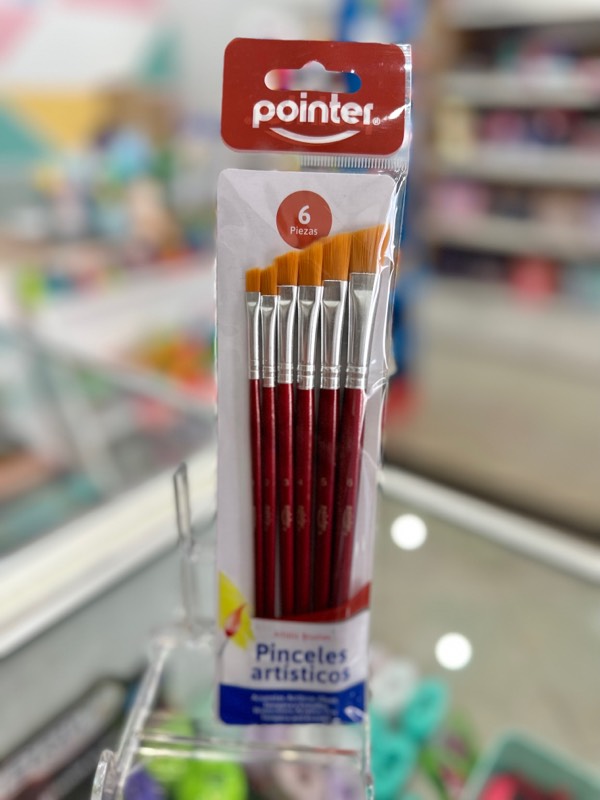 Set Pinceles Artisticos Pointer x6