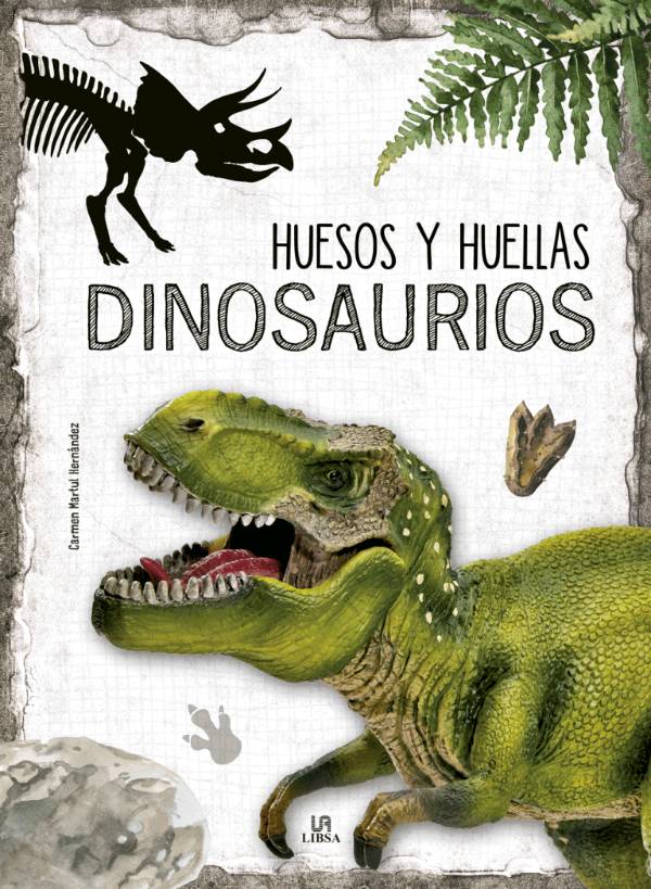 Huesos y huellas dinosaurios 