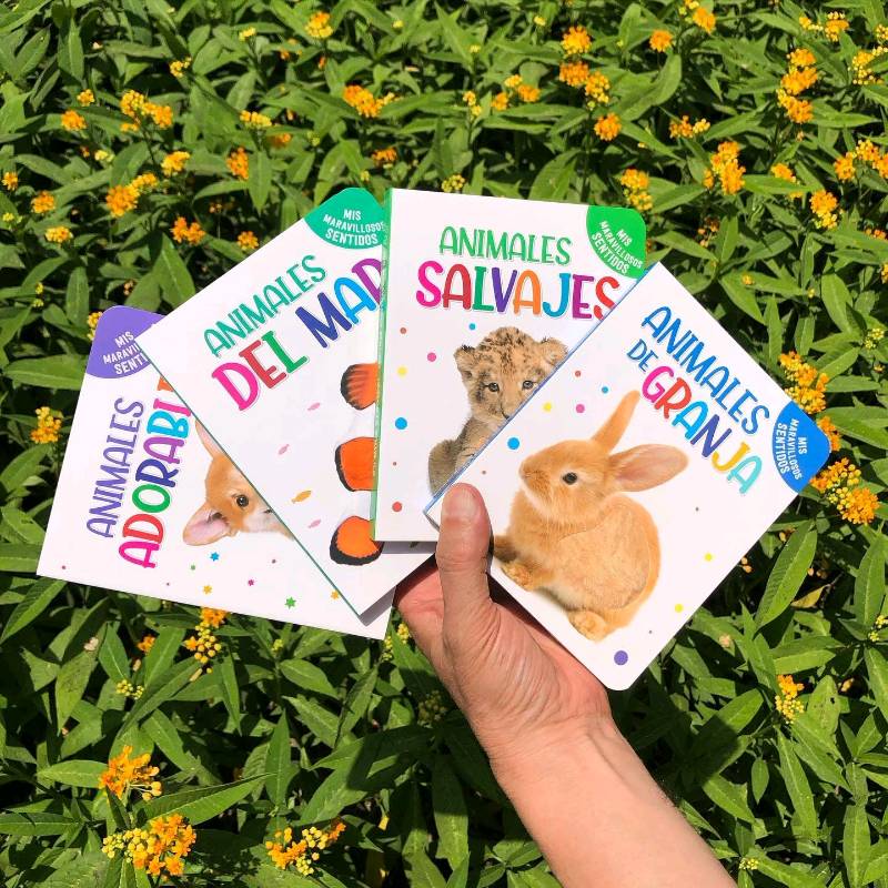 Mis maravillosos sentidos (Pack x4) texturas 